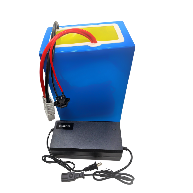 72V 100Ah Li-Ion mit Ladegerät – 72V 40Ah Lifepo4 Battery Pack Bewertung und Preis